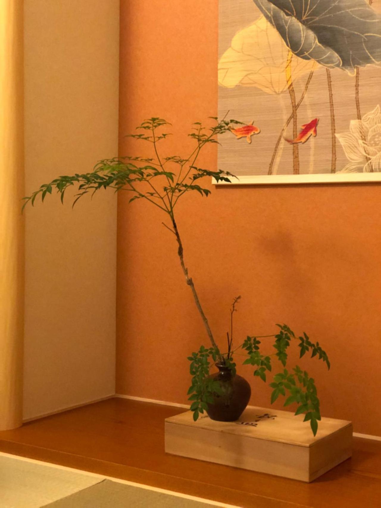 静雅の宿 Kyoto Extérieur photo